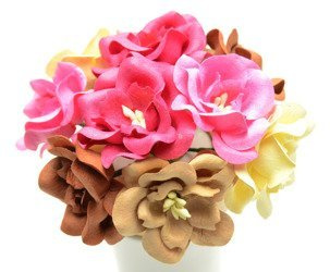 Magnolie różowe brązowe mniejsze  (IAR) 10szt