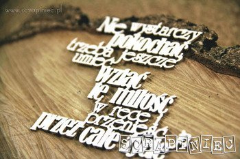 Nie wystarczy pokochać tekturka Scrapiniec