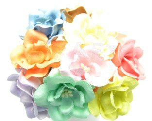 Magnolie pastelowe (IAR)10szt