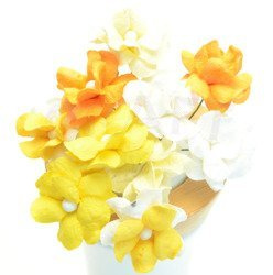 Kwiaty Filipinki - żółty mix 10szt