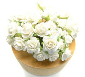 Biały zestaw startowy RÓŻE IAR -  25szt