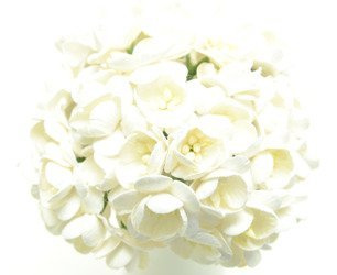 Białe wiśnie - zestaw 50 szt.