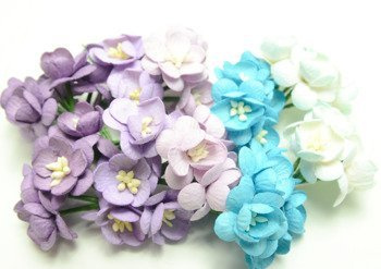 Pastelowe fioletowe, niebieskie kwiaty wiśni 50szt