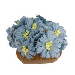 Astry błękitne - ok 3cm zestaw 10 szt. IAR