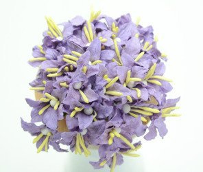 słodkie fioletowe lilie - zestaw 25 szt