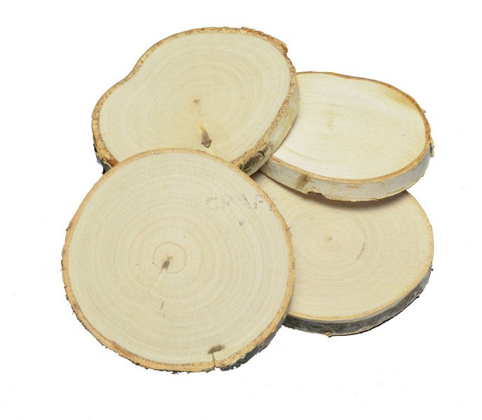 Drewniane plastry brzozy 8-9cm oszlifowane