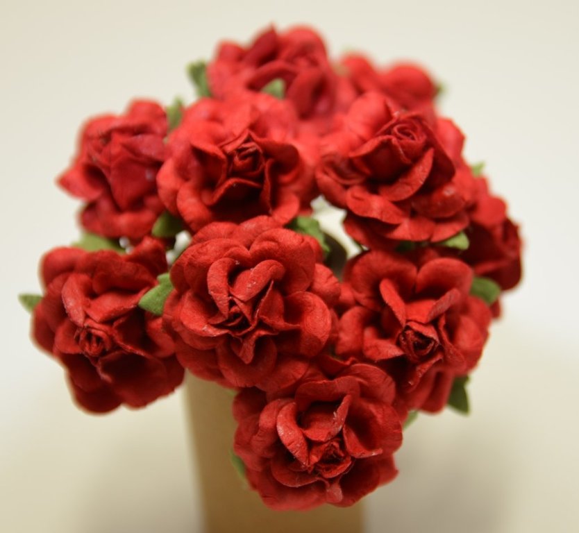 Czerwone Trellis róże  - małe 2,5cm 10szt IAR